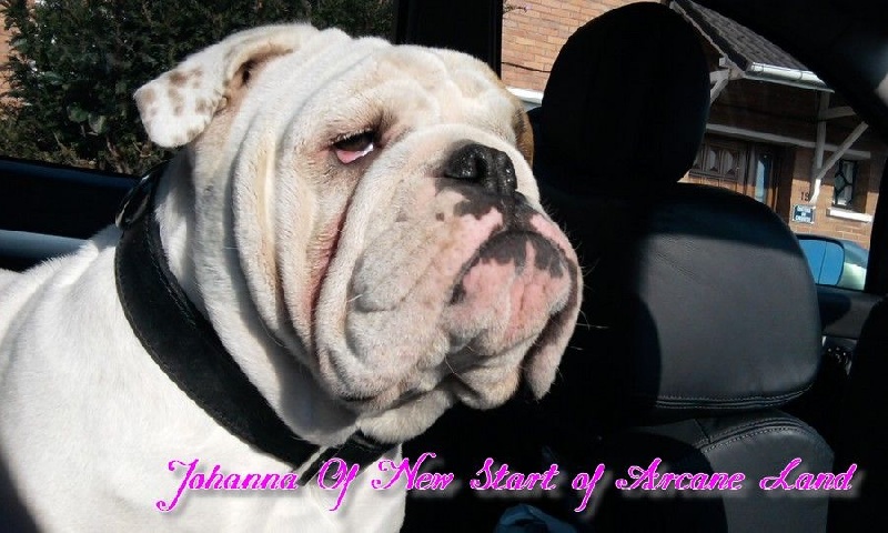 Johanna of new start
